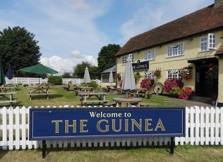 The Guinea1 768x560